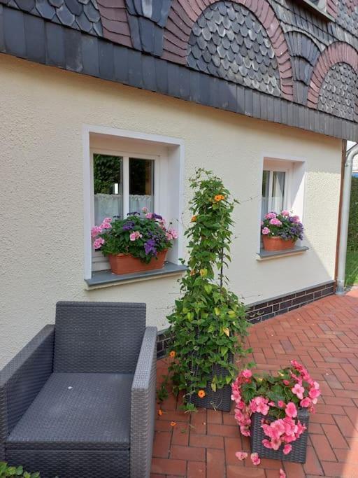 Fewo Marie Im Ferienhaus Selma In Zentraler Lage Großschönau Exteriör bild